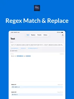 Regex Parse & Replace Dev Tool screenshot 4