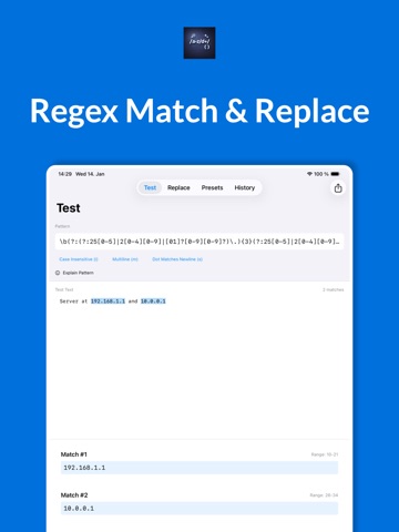 Regex Parse & Replace Dev Tool ipad screenshot 2