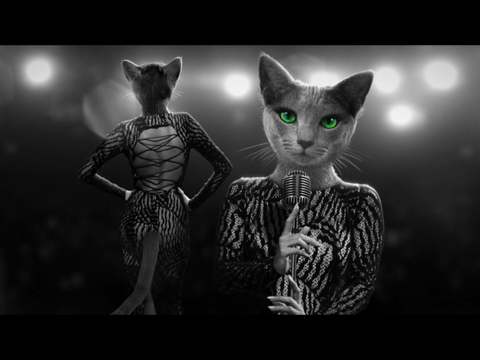 Chicken Police Try  Buy