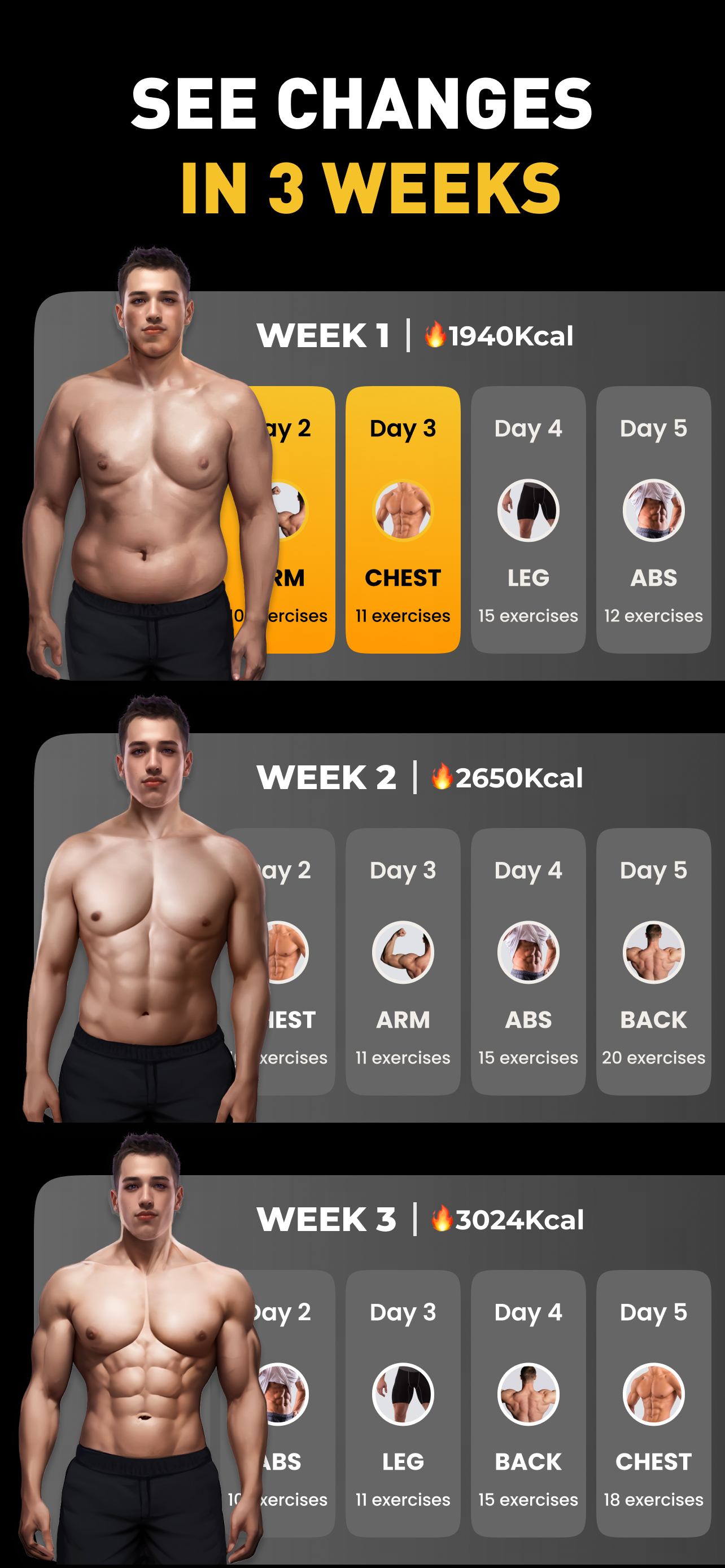 Muscle Builder & Workout Plans