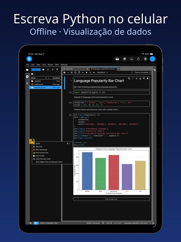 Python Studio - Código Py iPad screenshot 1