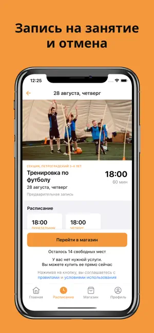 Meteor screenshot 4