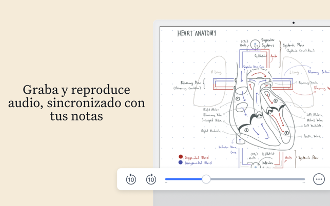 Notability: Smarter AI Notes Screenshot