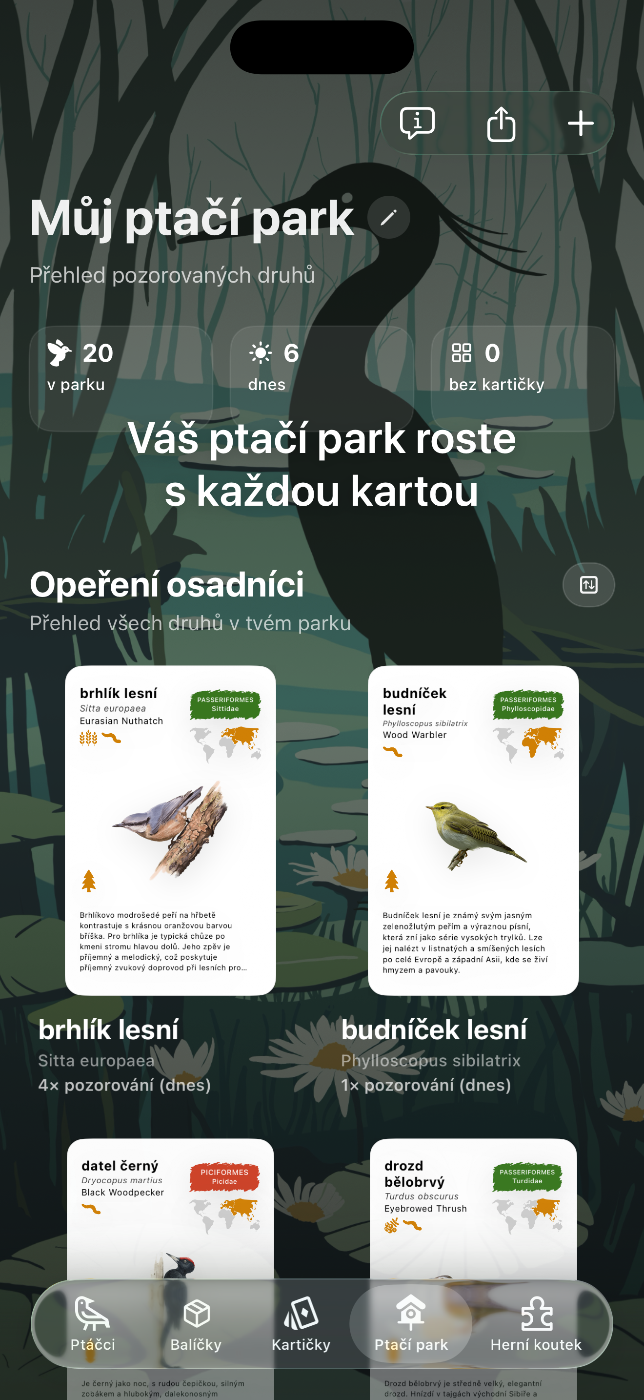 Birdora: Your Bird World screenshot 3