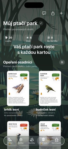 Birdora: Your Bird World Screenshot 3 of 6