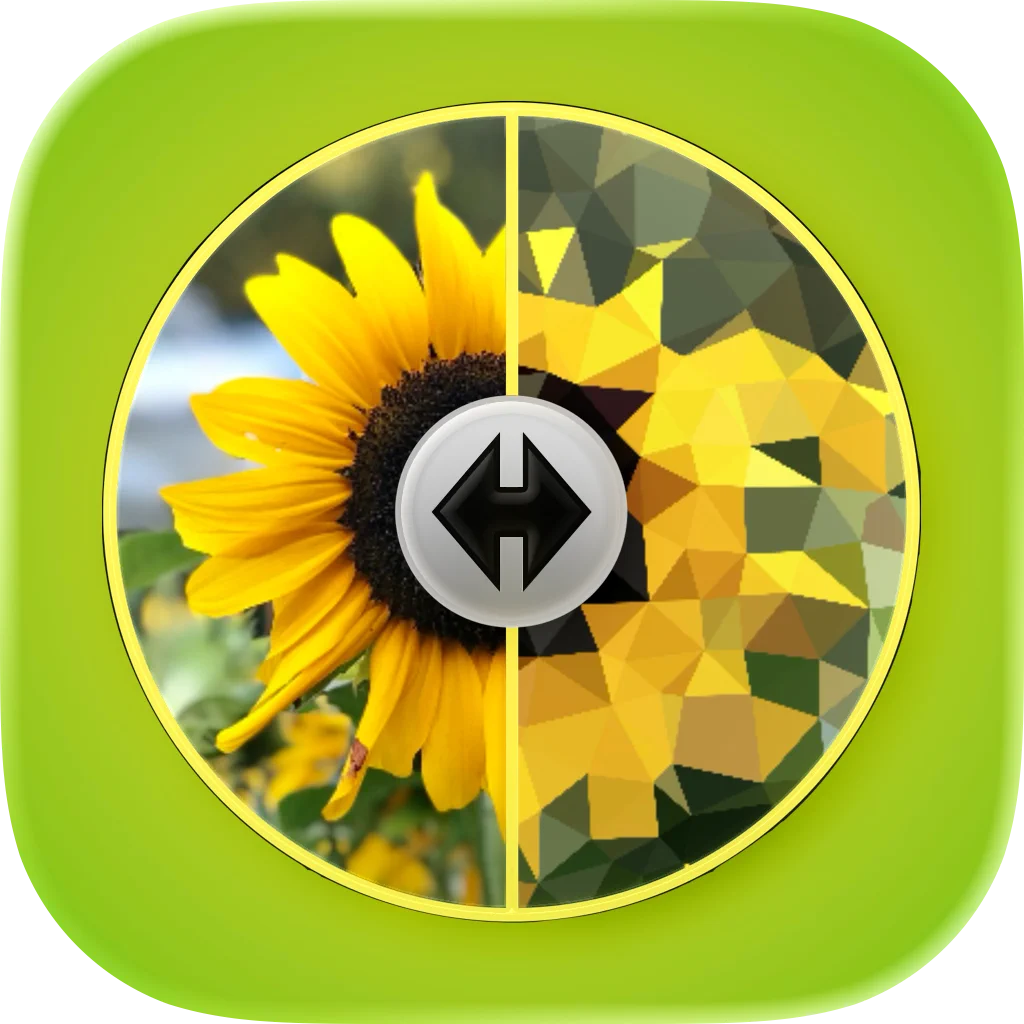 Photo Editor: TwoSlideOver