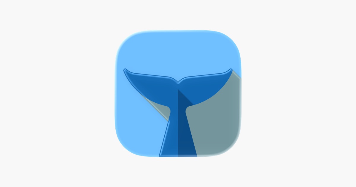Приложение «Flipper - Зеркальные Эффекты» — App Store