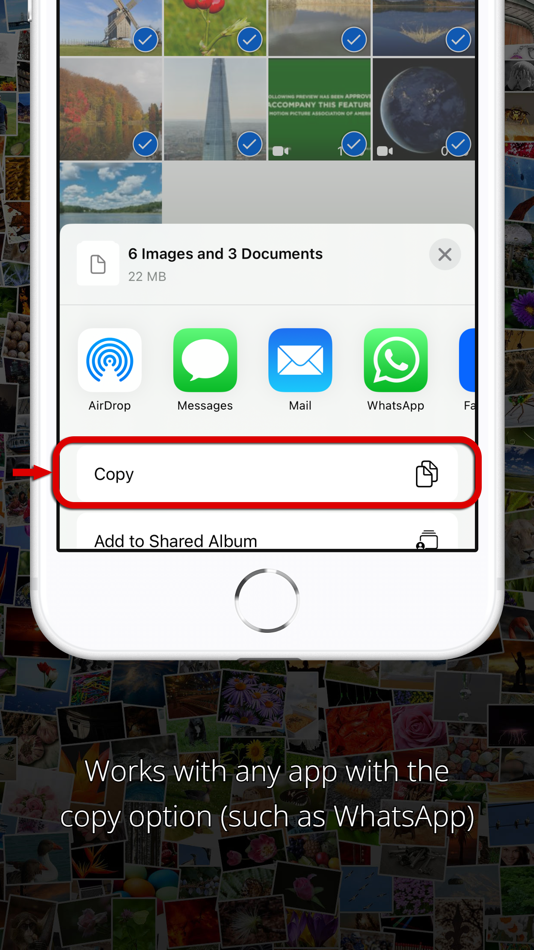 #3. AppToCloud - Copy My Data (iOS) Podle: ZipoApps