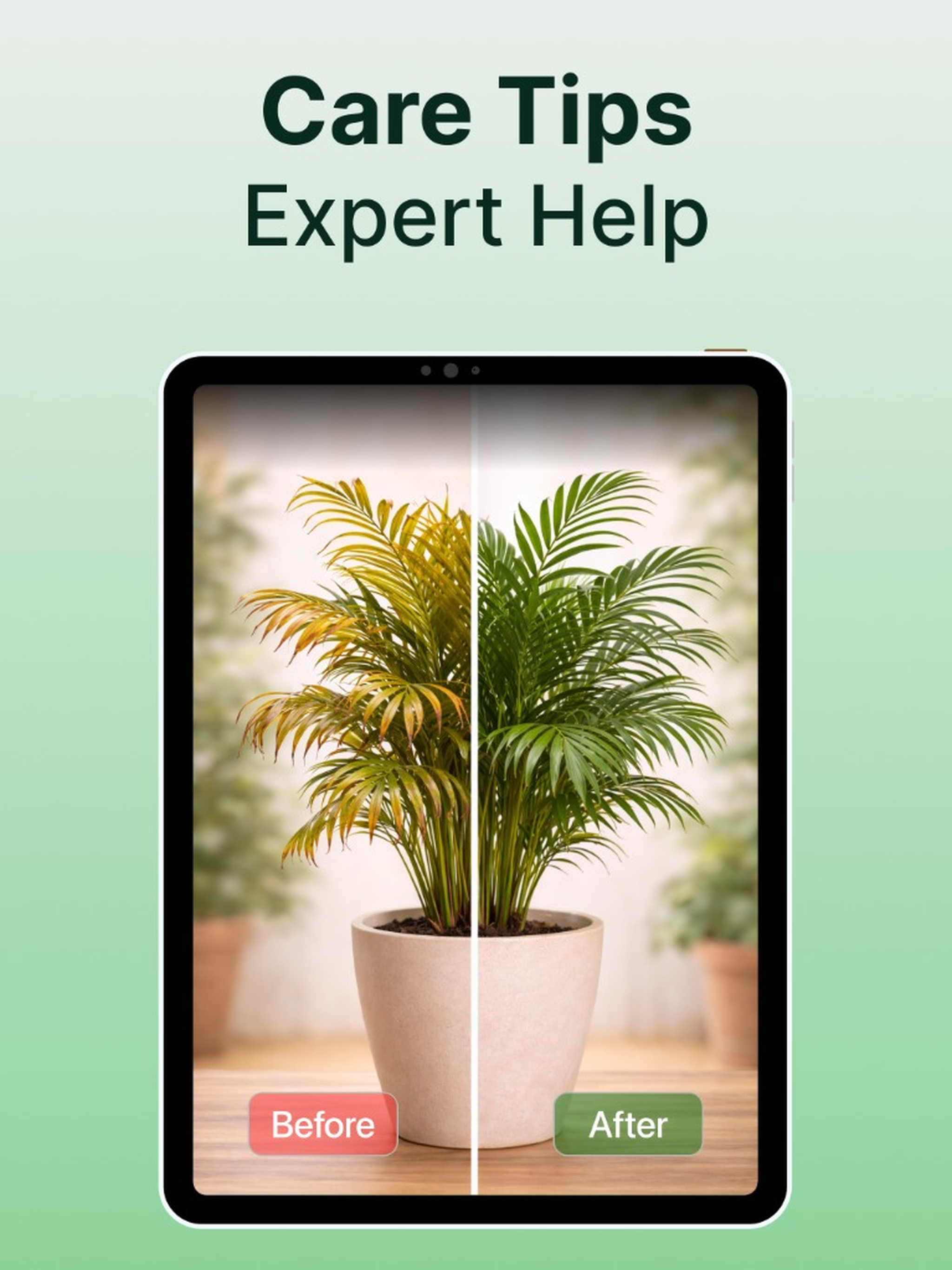 Plant Identifier: Leaf Scanner screenshot 10