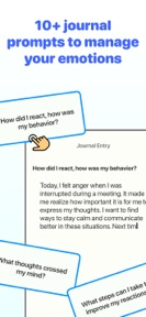 Anger & Mood Management: Stew screenshot
