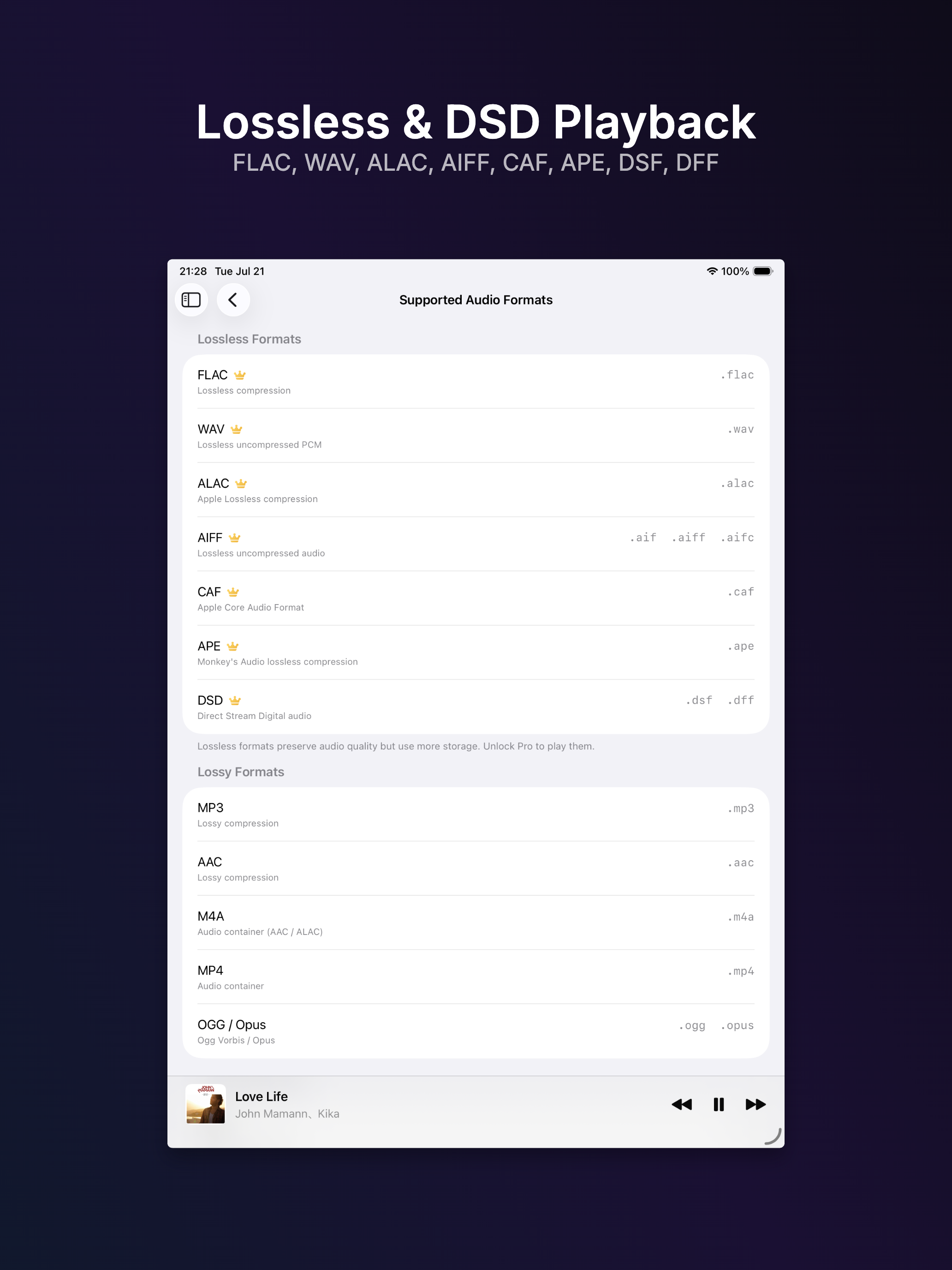 NetMusic: Cloud & NAS Player screenshot 8