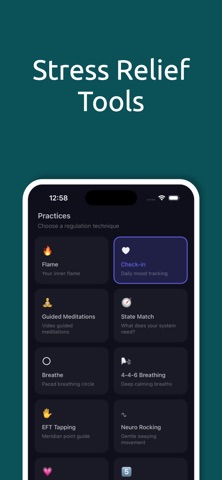 Regulator screenshot