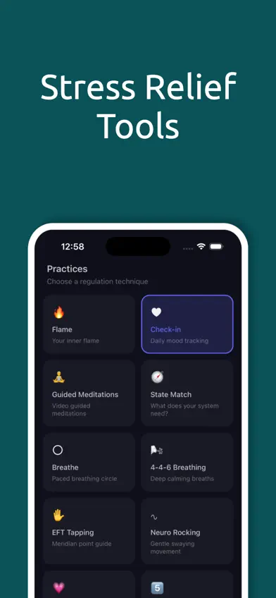 Regulator screenshot 2