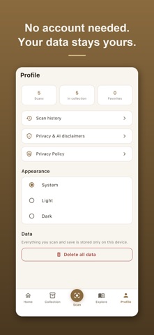 Antiquo: Antique Scanner screenshot 7