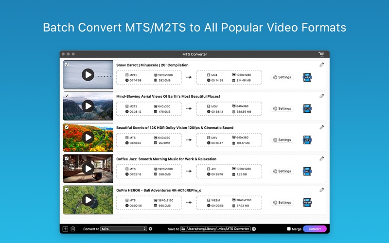 Screenshot #1 pour MTS Converter