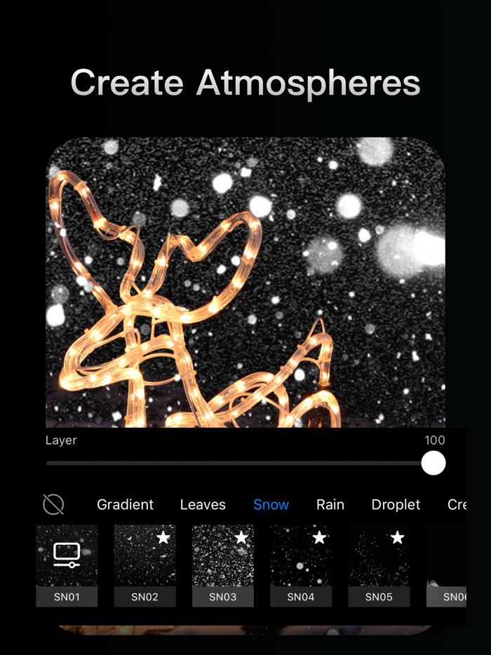 Lightune AI Filter Match