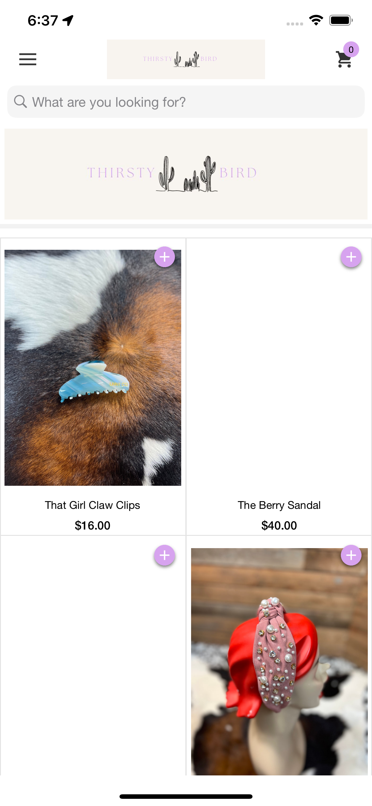 Thirsty Bird Boutique