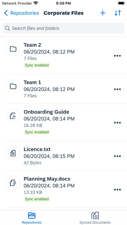 SAP Document Management