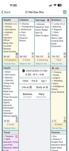 Zi Wei Dou Shu Astrology screenshot