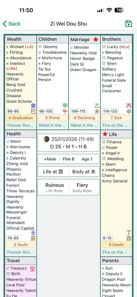 Zi Wei Dou Shu Astrology screenshot 6