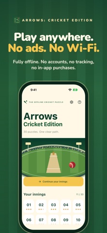Arrows: Cricket Edition screenshot 6
