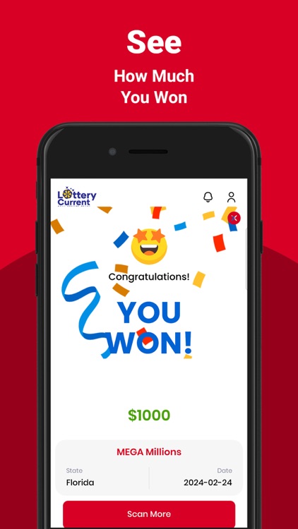 Florida Lottery Ticket Scanner screenshot-7