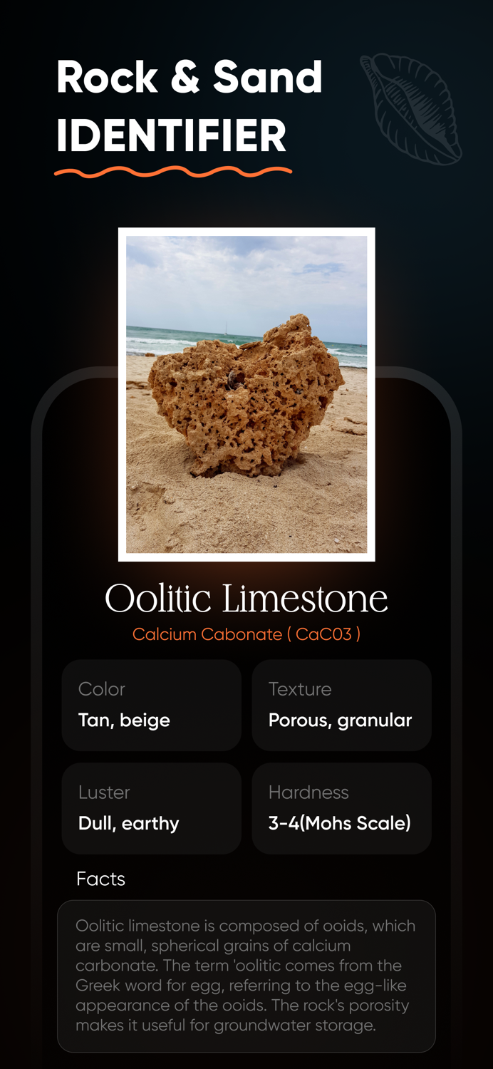 Sea Shell Identifier  Shelify