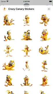 crazy canary stickers iphone screenshot 1