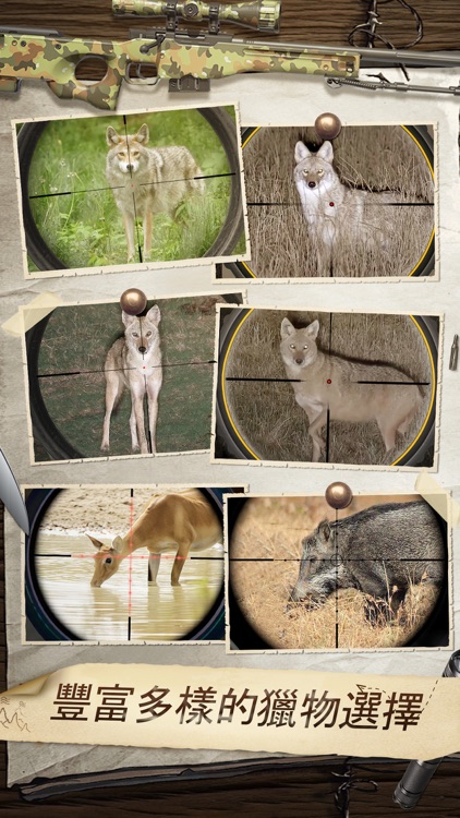 Hunting Sniper: Elite