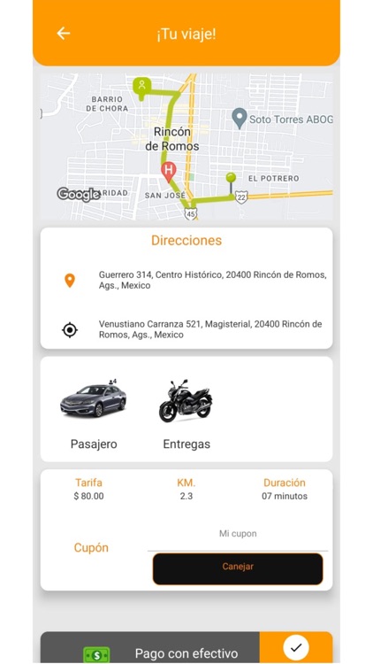 TRIP DD screenshot-3