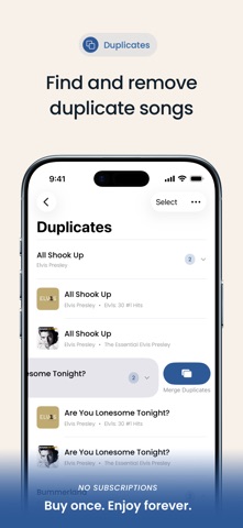 Song Sweeper: Music Cleaner iPhone screenshot