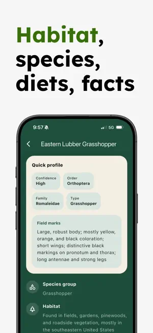 Insect Identifier - Insectr screenshot 4