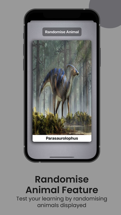 Learn Animals - Name Sounds screenshot-5