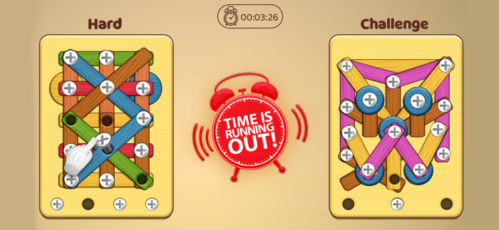 Unscrew Pin Wood Puzzle Master