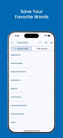 Russian-Tajik Dictionary screenshot