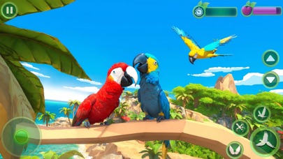 Wild Parrot Family Simulator Screenshot