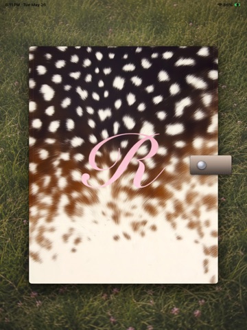 Aurem - Customizable Journal iPad screenshot