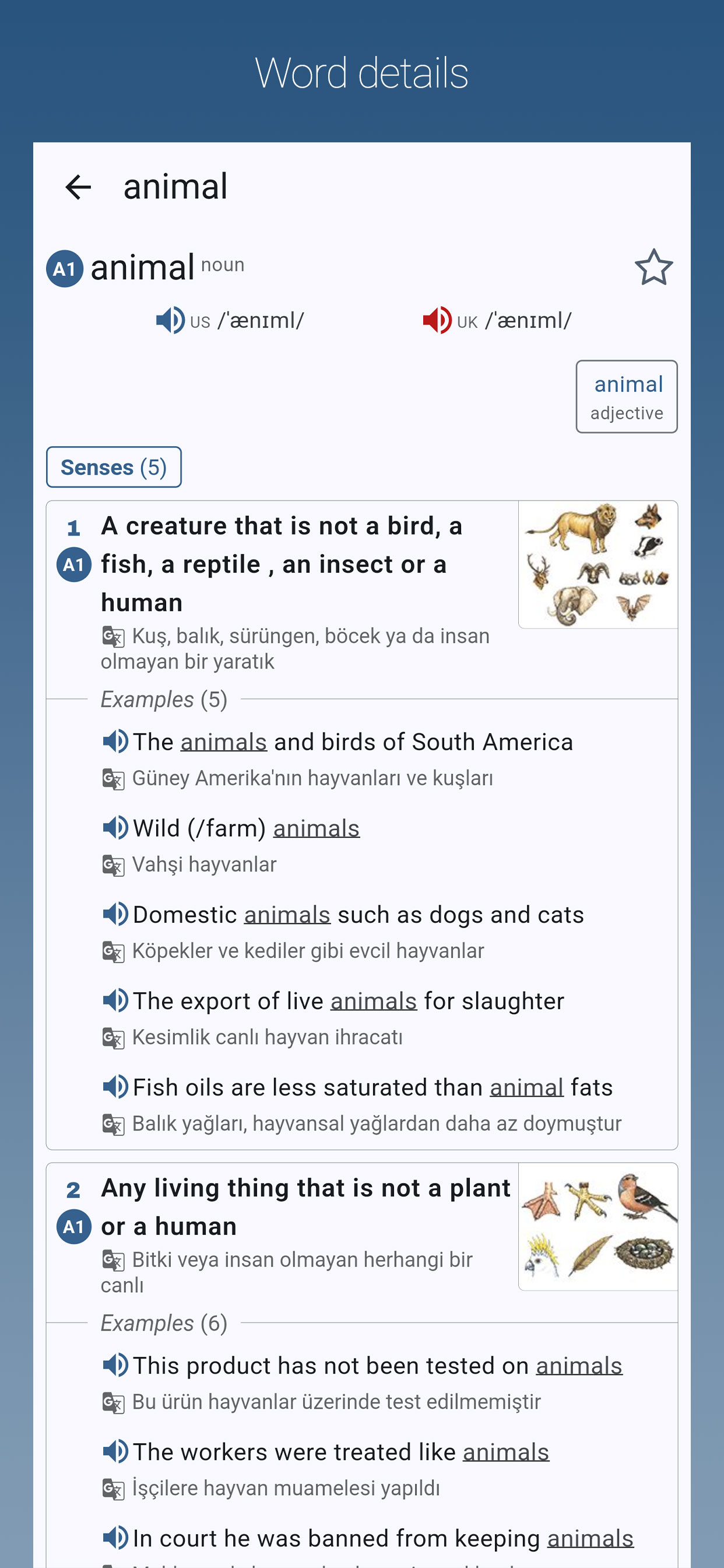English-Turkish Dictionary Pro