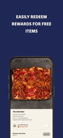 Detroit Pizza Depot iPhone screenshot