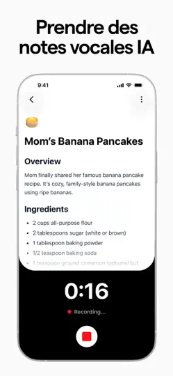 Capture d'écran de Memio AI Voice Notes & Journal sur iPhone 3
