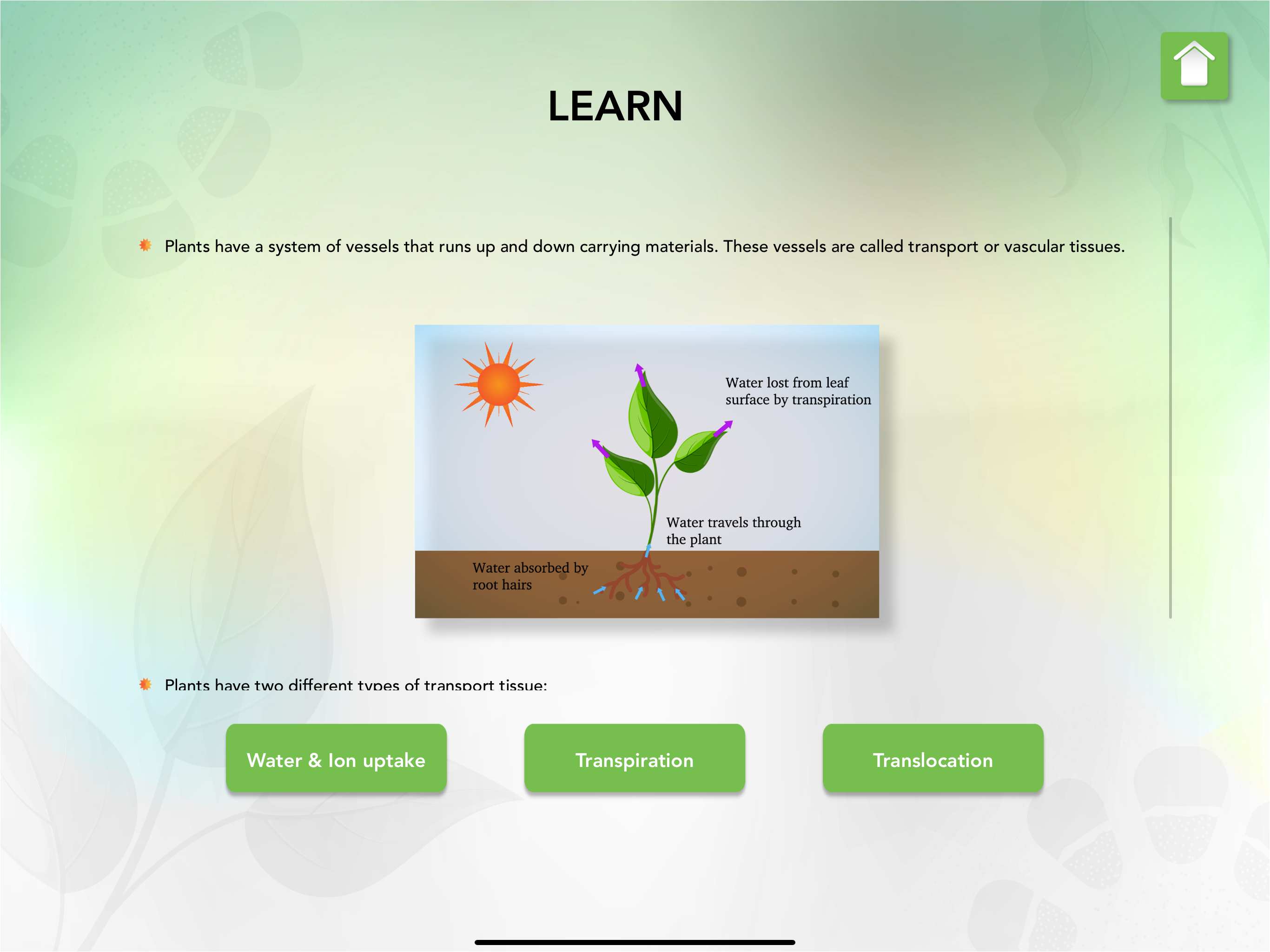 Transport in Plants Biology screenshot 7