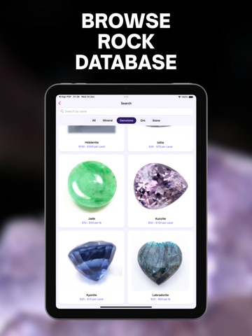 Rock Identifier - Gemstone ID iPad screenshot
