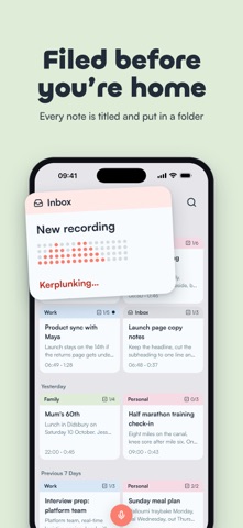 BrainFlow: AI Voice Notes screenshot 4