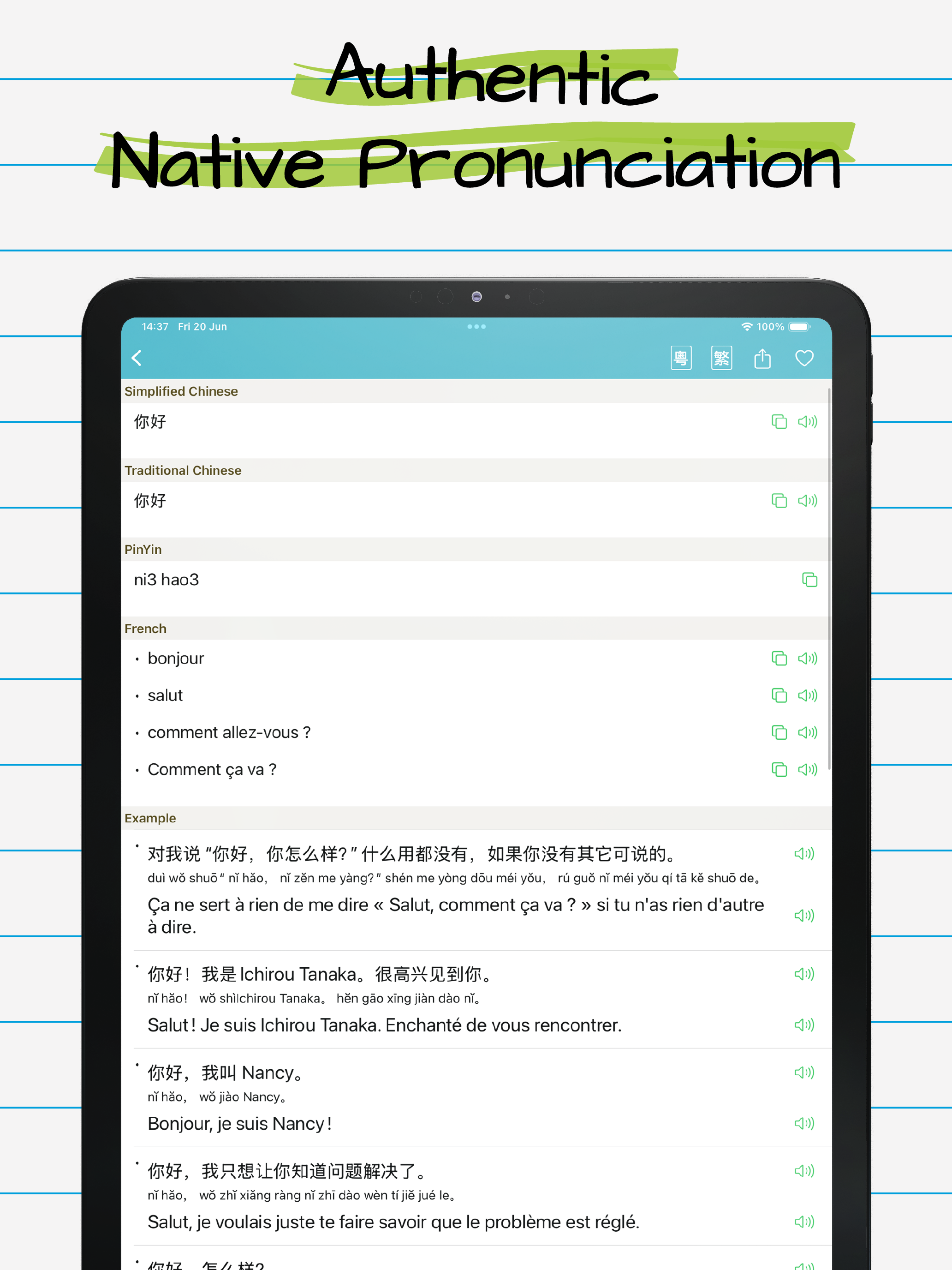 Chinese French Dictionary 法中词典 screenshot 8