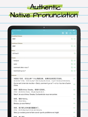 Chinese French Dictionary 法中词典 iPad screenshot