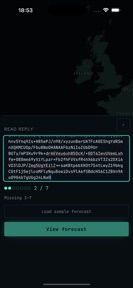 Beamback: GRIB Weather screenshot