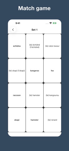 French topic vocabulary iPhone screenshot