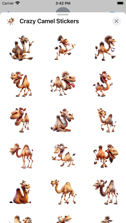 Crazy Camel Stickers