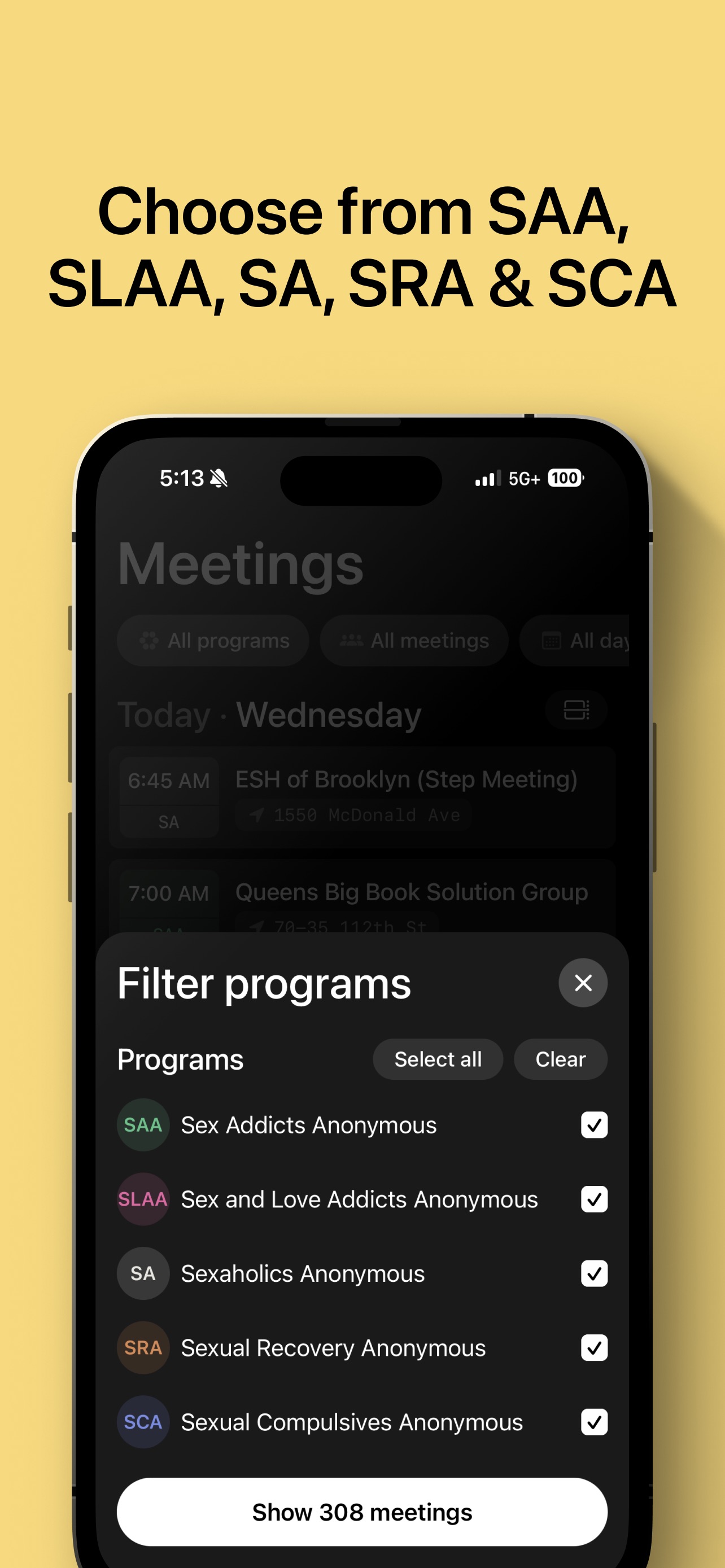 Screenshot 4 of Twelve: S-Fellowship Meetings
