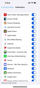Bridge - Wear Sync screenshot